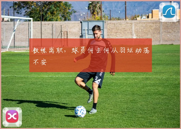 教练离职，球员何去何从羽坛动荡不安